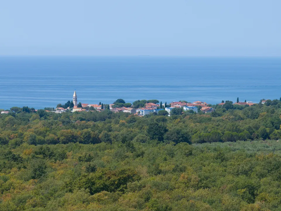 Vista sugli uliveti verso la costa adriatica